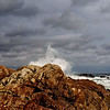 snoupi > Bass Rocks - Gloucester MA - 2005