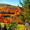 snoupi > Woodstock VT - Hiking Peterkin Hill - 5 -