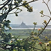 snoupi > Avranches - 2002 - le Jardin des Plantes - Entre les Pommiers