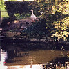 snoupi > Avranches 2002 - La Mare aux Mares